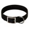 2 Ply Nylon Collie Collar