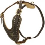 Royal Design Leather Collie Harness with Brass Studs