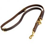 Multifunctional Leather Collie Leash