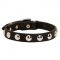 Beautiful Leather Collie Collar Decorated with Half-Ball Studs