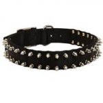 Collie Nylon Collar Spiked