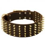 Wide Spiked Leather Collie Collar