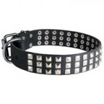 Leather Collie Collar with 3 Rows of Nickel Pyramids