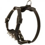 Durable Spiked Leather Puppy Collie Harness