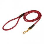 Collie Nylon Leash Multifunctional