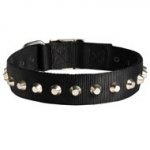 Exclusive Nylon Collie Collar with Awesome Nickel Cones