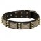 Collie Spiked Leather Collar with Nickel Plates