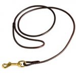 Fully Beneficial Show Leather Collie Leash - Comfort for You and Your Dog