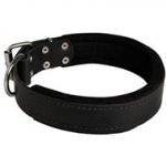 Collie Durable Padded Leather Collar 40 mm