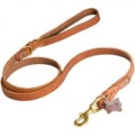 Walking and Training Leather Collie Leash with Comfy Handle
