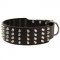 Extra Wide 4 Rows Studded Leather Collie Collar