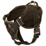 Nylon Collie Harness for Pulling Tracking Training