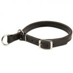 Collie Leather Choke Collar