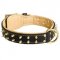 Royal Leather Collie Collar Spiked Padded with Nappa Leather