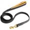 Padded on Handle Leather Collie Leash for Walking and Training