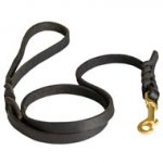 Handcrafted Braided Leather Collie Leash for Walking and Training