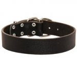 Wide Leather Collie Collar for Training and Walking