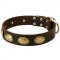 Designer Leather Collie Collar with Oval Plates