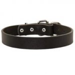 Collie Leather Dog Collar For Pleasant Wearing