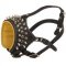 Royal Spiked and Studded Leather Collie Muzzle
