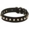 Gorgeous Wide Leather Collie Collar - Fashion Exclusive Design