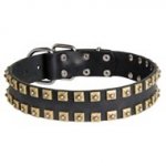 2 Rows Brass Studded Leather Collie Collar for Walking and Training