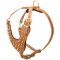 Brass Spiked Leather Collie Harness for Fashion Walking