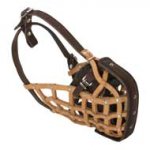 Basket-Like Collie Muzzle Leather