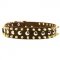 Spiked and Studded Collie Leather Collar