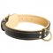 Padded Leather Collie Collar