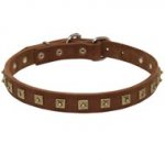 Handcrafted 1 Row Square Studded Leather Collie Collar