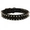 Collie Nylon Collar Spiked