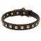 Collie Leather Collar Caterpillar Design
