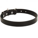 Collie Leather Dog Collar 1 inch Wide