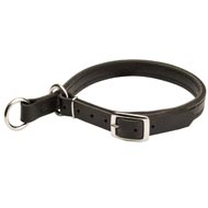 Collie Leather Choke Collar