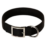 2 Ply Nylon Collie Collar