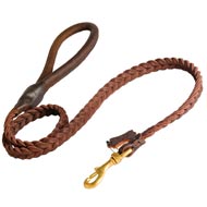 Collie Leather Braided Dog Leash