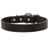 Collie Leather Dog Collar For Pleasant Wearing
