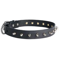 Collie Leather Collar Spiked 30 mm