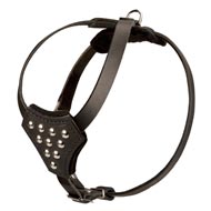 Designer Leather Collie Harness with Adjustable Straps for Puppy Walking and Training