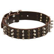 Collie Spikes and Studs Rows Leather Dog Collar