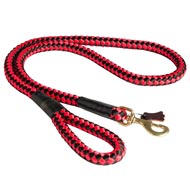 Nylon Cord Collie Leash for Walking and Training