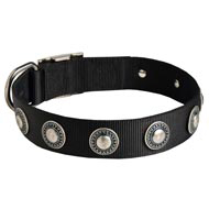 Collie Nylon Dog Collar with Circles Decoration