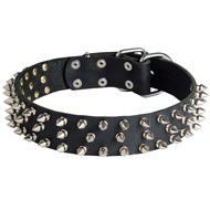 Leather Collie Collar with 3 Rows of Nickel Spikes