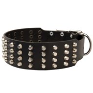 Extra Wide 4 Rows Studded Leather Collie Collar