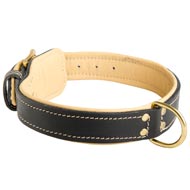 Padded Leather Collie Collar