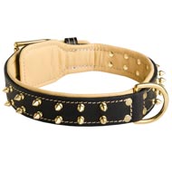 Royal Leather Collie Collar Spiked Padded with Nappa Leather
