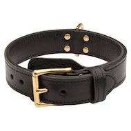Training 2 Ply Leather Collie Collar