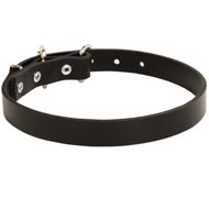 Collie Leather Dog Collar 1 inch Wide