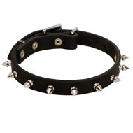 Collie Leather Collar Spiked 3/4 Inch